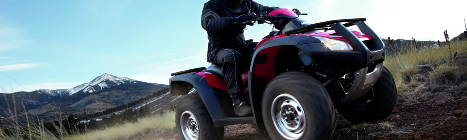 2020 Honda® Four Trax Rincon for sale in Al Lamb's Dallas Honda, Dallas, Texas